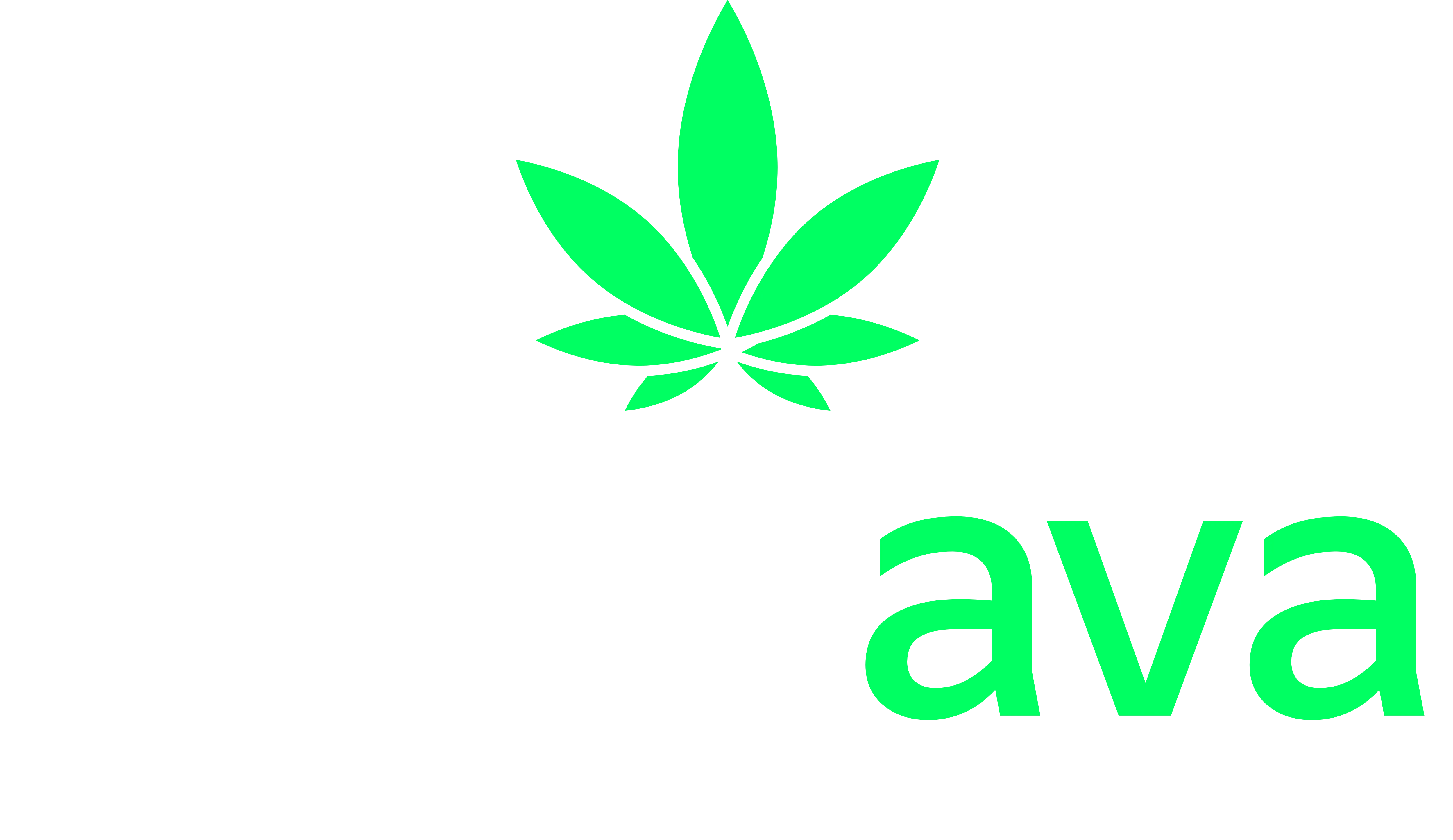 Plantava Logo